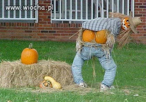 Pozdro dla sąsiadów!