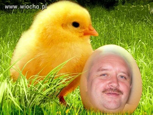 Wesołych Swiat na NK 