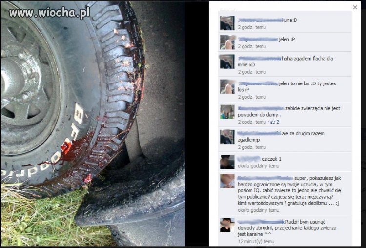 Wiocha - cieszy się z przejechanego zwierzęcia!!