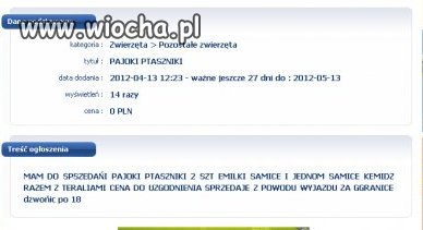 "Pajoki ptaszniki ..."