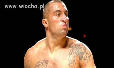El Progesteron 