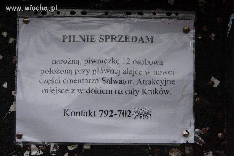 Pilnie sprzedam piwniczkę na cmentarzu...