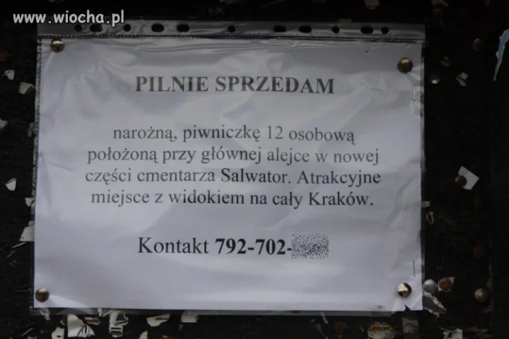 Pilnie sprzedam piwniczkę na cmentarzu...