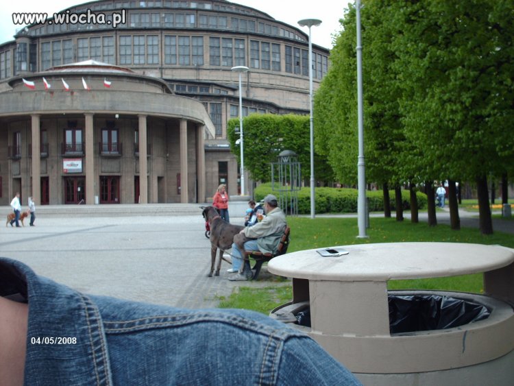 Jak pies z...człowiekiem