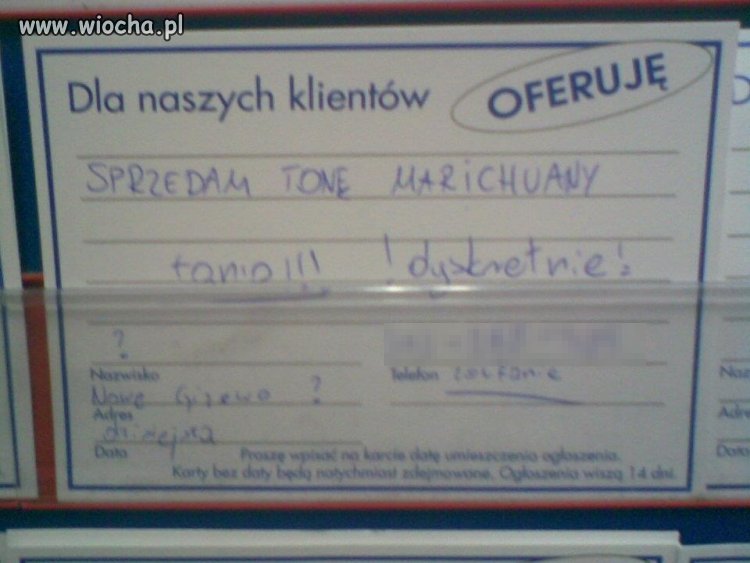 Ogłoszenie w Kauflandzie