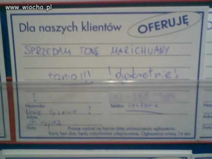 Ogłoszenie w Kauflandzie