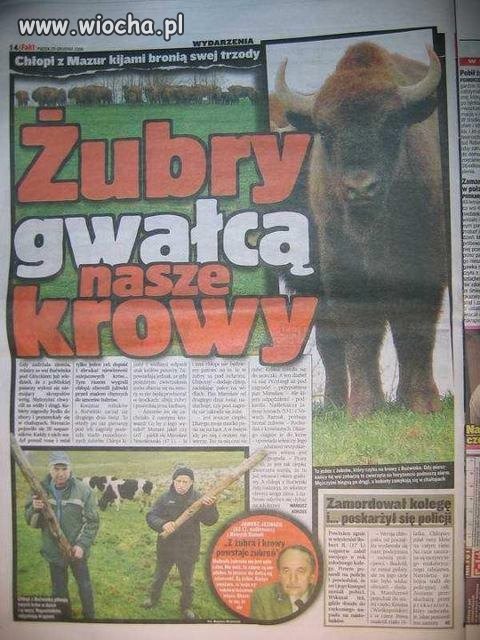 Z ostatniej chwili 