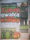 Z ostatniej chwili 