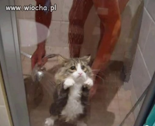 Kotek chyba wody nie lubi :)