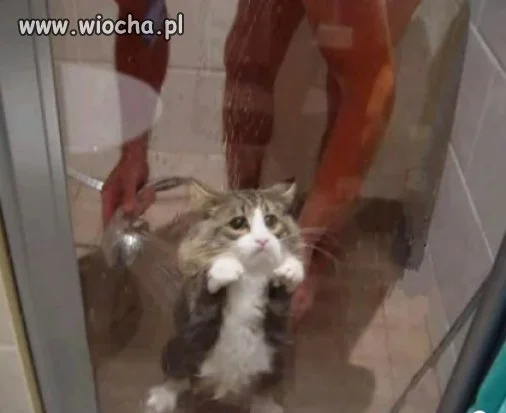 Kotek chyba wody nie lubi :)