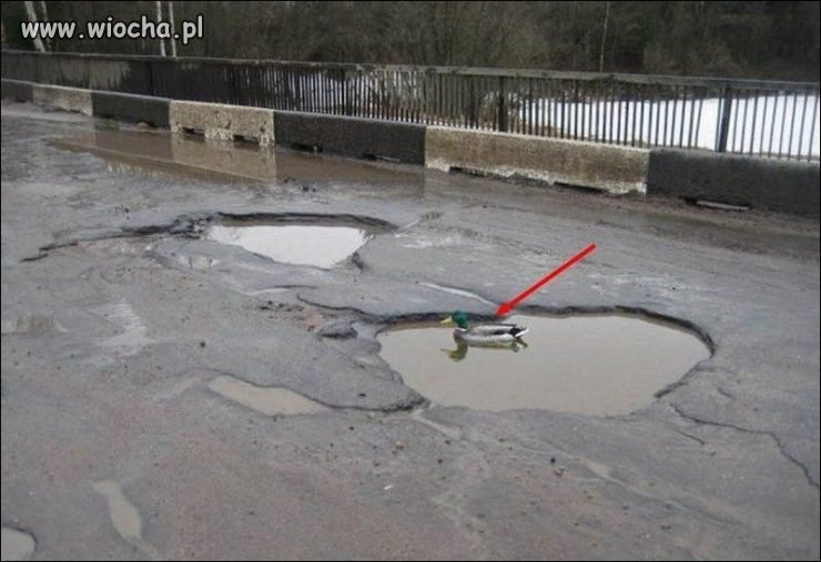 Polskie drogi