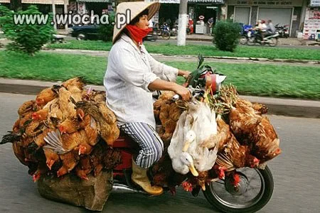 Dostawa do KFC?