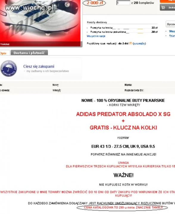 Aukcja na Allegro. 