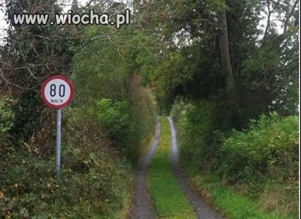 Kolejny sukces polskiego rządu