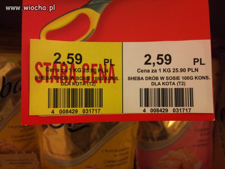 Promocja