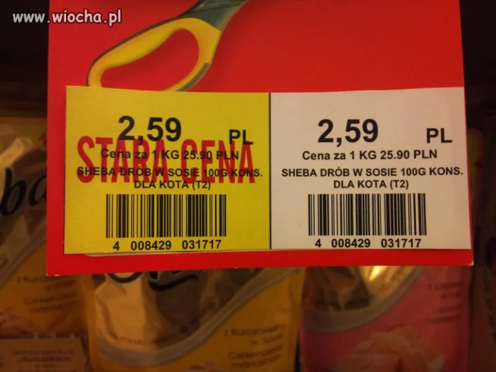 Promocja