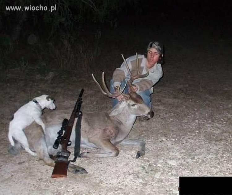 Każdy ma swoje