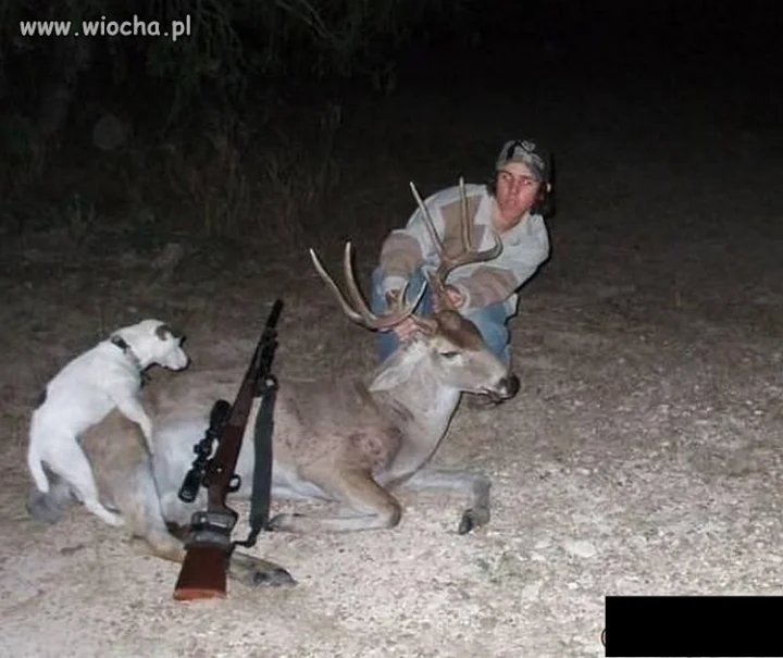 Każdy ma swoje