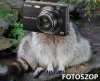 Fotoszop
