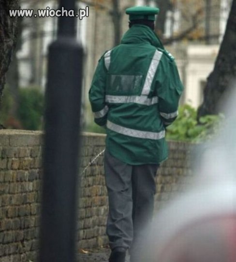Eins zwei polizei 