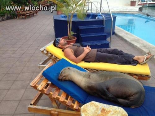 To nie sen, zawsze po nocy przychodzi dzień 