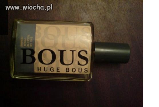 Hugo Bous