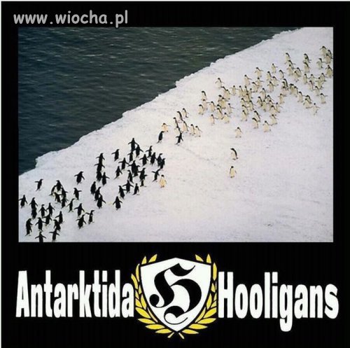 Ustawka