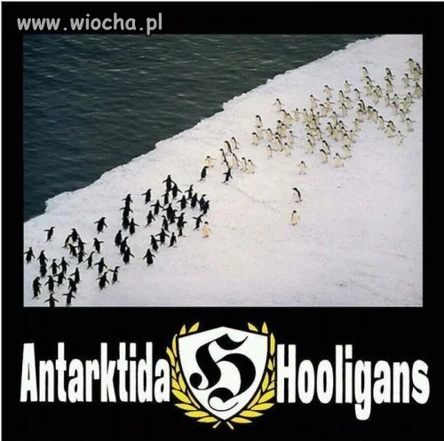 Ustawka