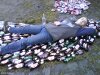Lasn Na Butelki I Puszki Po Piwie..-.-''