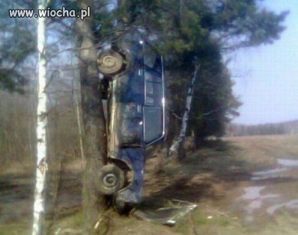 Mistrz parkowania