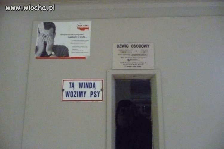 Chyba lepiej pójdę schodami