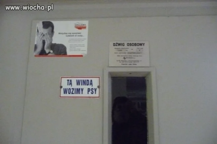 Chyba lepiej pójdę schodami