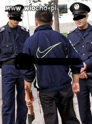No ptaszki