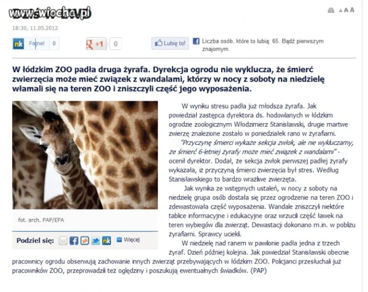 Brak słów na coś takiego