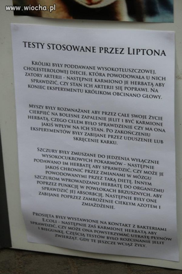 Tyle zwierzat musi cierpiec...