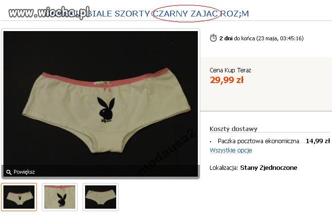Czarny zając 
