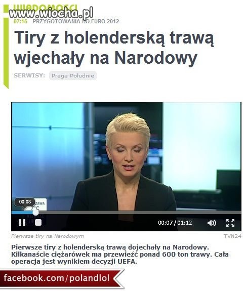 Holenderska trawka 