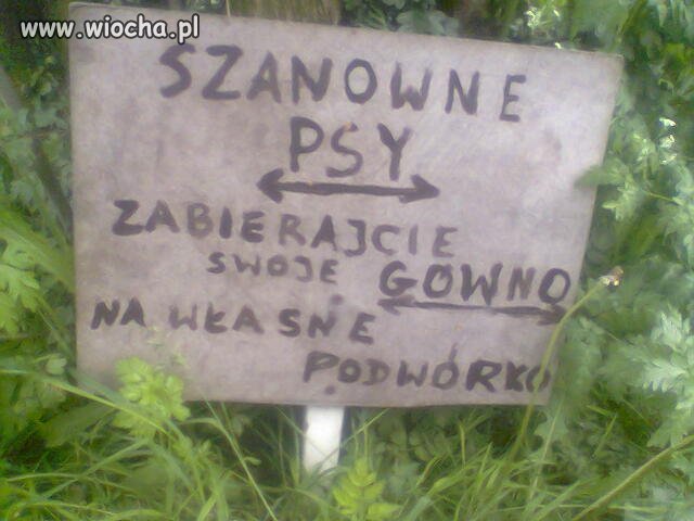 Na spacerze byłam i tabliczkę informacyjną ujrzałam 