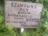 Na spacerze byłam i tabliczkę informacyjną ujrzałam 