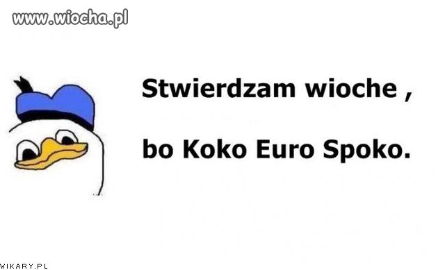 Koko Euro Spoko
