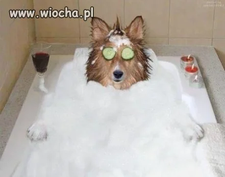 To już przesada.