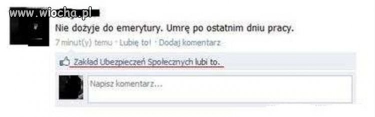 ZUZ Lubię to! (Kopnij w kalendarz).