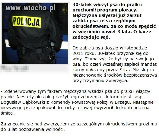 Co za debil w taki sposób zabić psa