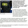 Co za debil w taki sposób zabić psa
