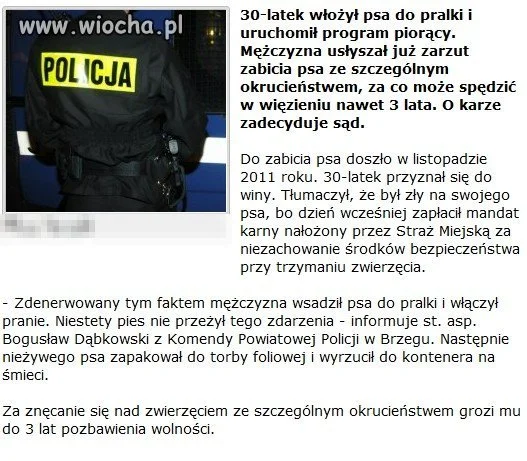 Co za debil w taki sposób zabić psa