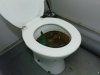Toaleta u mnie w pracy