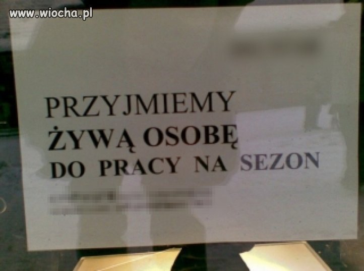 Przyjmiemy żywą osobę ...
