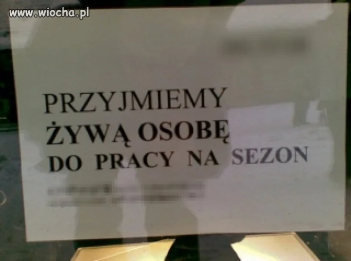 Przyjmiemy żywą osobę ...