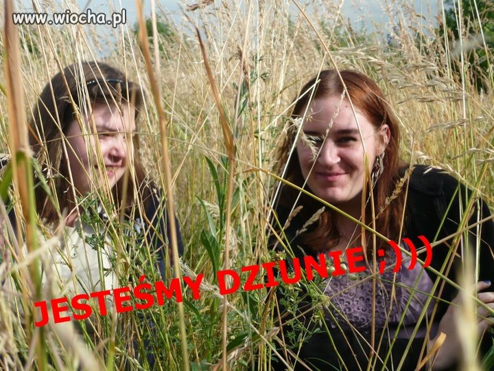 JESTEŚMY DZIUNIE OCZYWIŚCIE DO WZIĘCIA