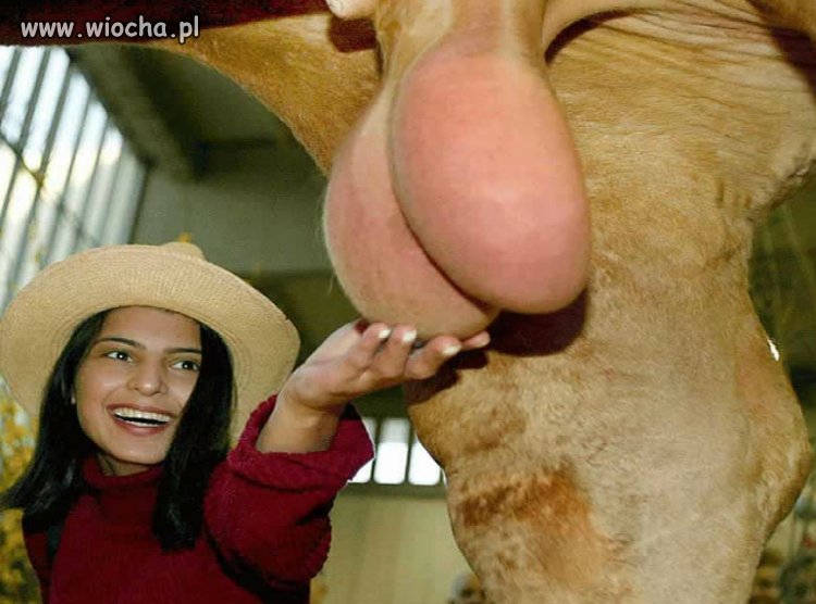 To dopiero jaja 